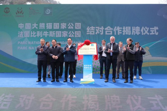 4月1日，中国大熊猫国家公园与法国比利牛斯国家公园结对合作揭牌仪式现场。新华社记者 张雅雯 摄