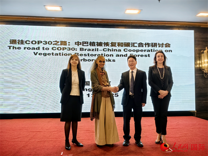 中国国家林业和草原局副局长李云卿(右二)、巴西环境和气候变化部部长玛丽娜·席尔瓦(左二)、巴西财政部副部长罗熙丹(右一)、巴西驻华大使馆公参乐美(左一)出席“通往COP30之路:中巴植树造林和碳汇合作研讨活动”。人民网记者 符园园摄