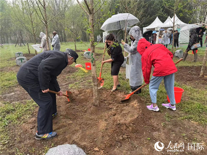 图为玻利维亚驻华使馆的使节在种植树苗。人民网记者 彭敏摄
