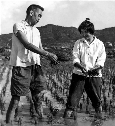 甘祖昌(左)和甘公荣在田间劳动。作者提供