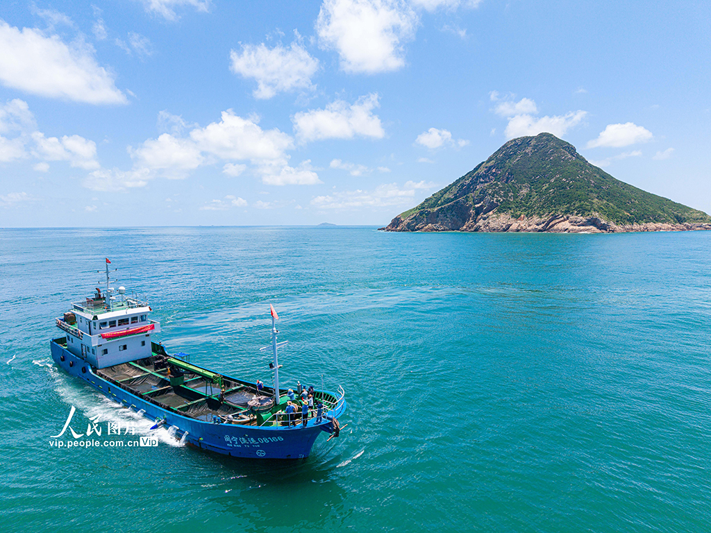 浙江温岭:东海开展增殖放流