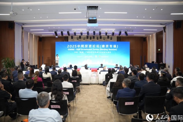论坛一景。人民网 塔里克·易卜拉欣摄