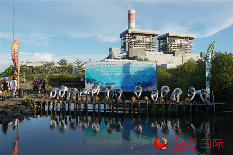 5月18日,在中国国家能源集团与印尼国家电力公司共同建设的爪哇7号火电项目现场,嘉宾们进行红树苗补植活动。人民网记者 曹师韵摄