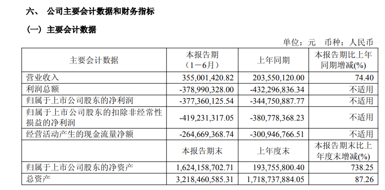 图片来源:半年报截图