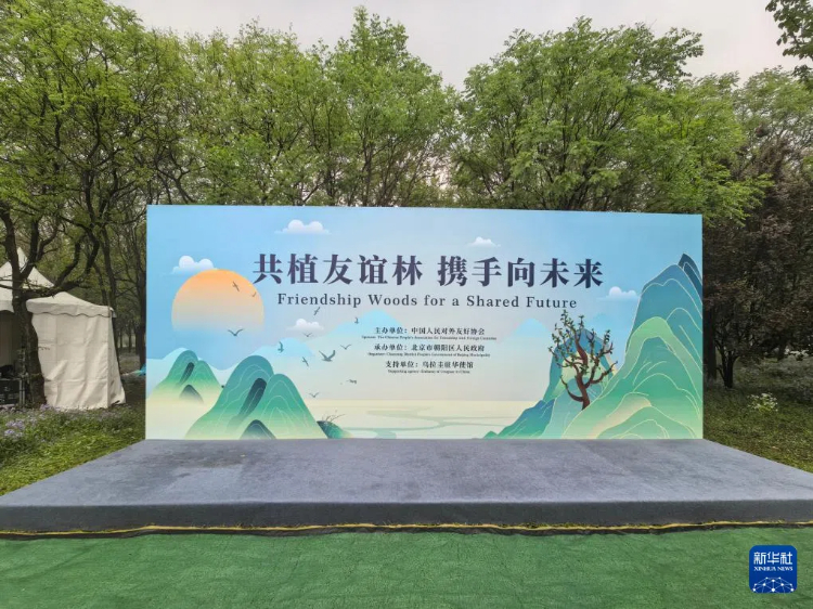 图为活动现场。新华社记者 白鑫雨 摄