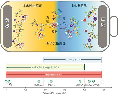 锂离子载体双相电解质设计图。图片来源：《自然·纳米技术》