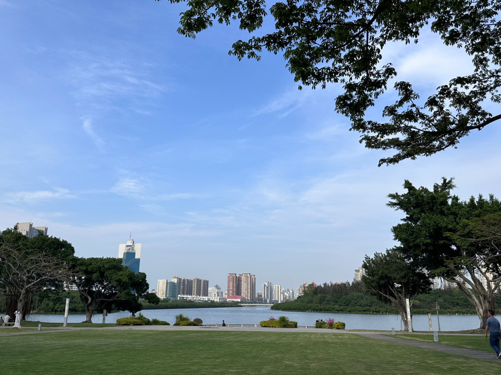筼筜湖畔,风景如画。人民网记者 王绍绍摄